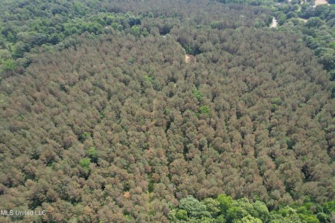 Hunting Land in Coffeeville, MS