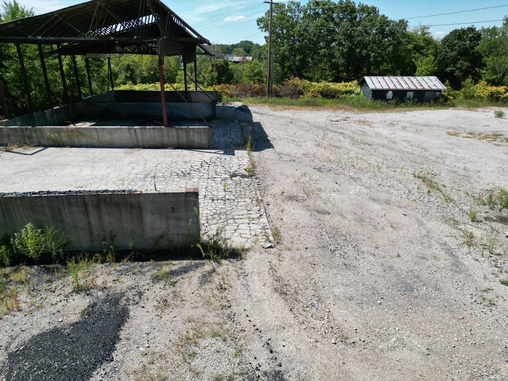 Picture 4