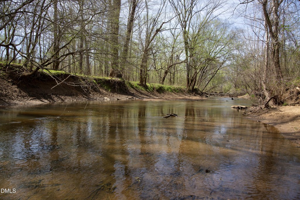 Picture 28
