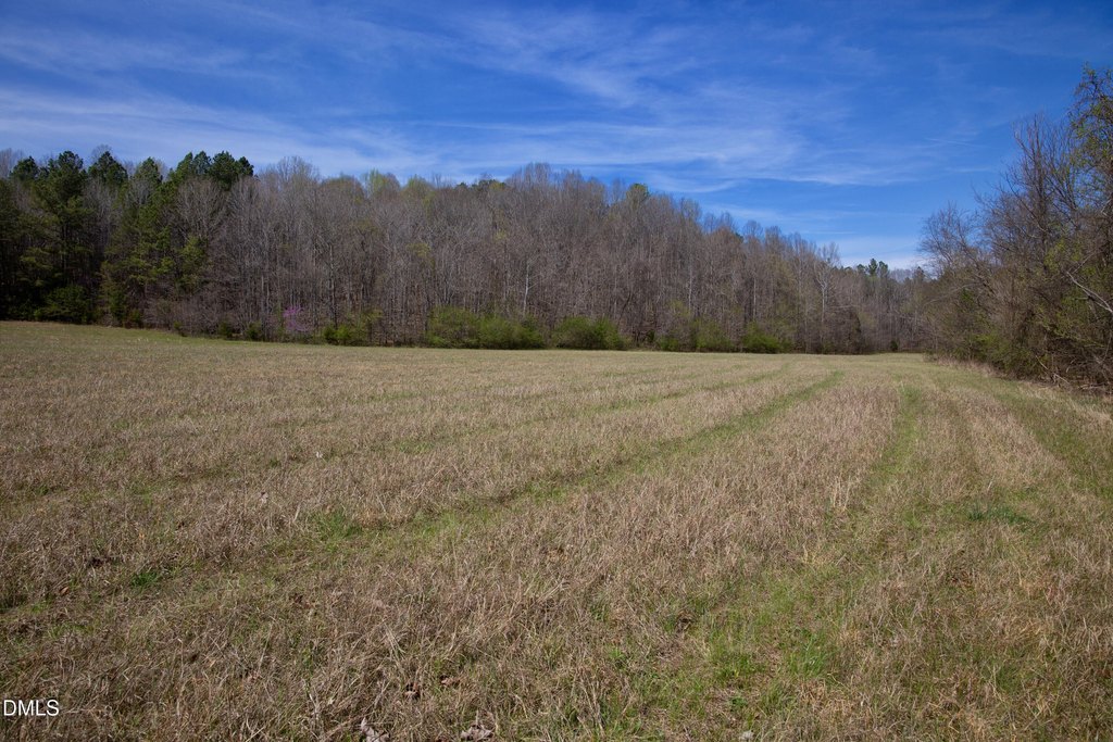Picture 26