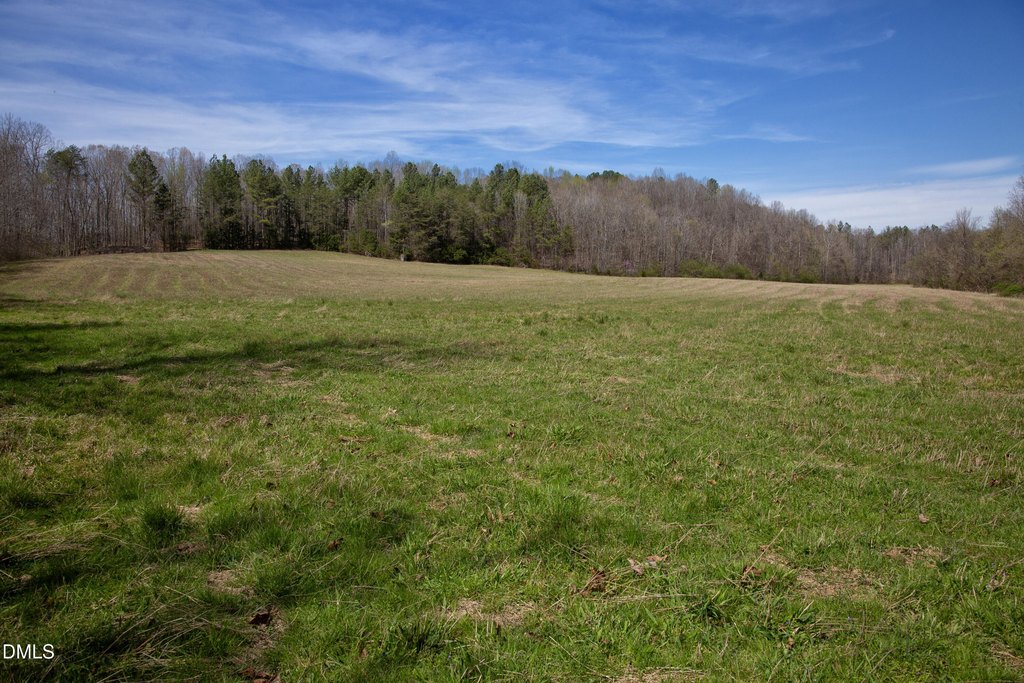 Picture 29
