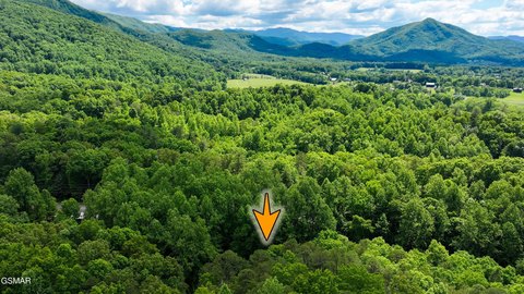 LAND - Sevierville, TN