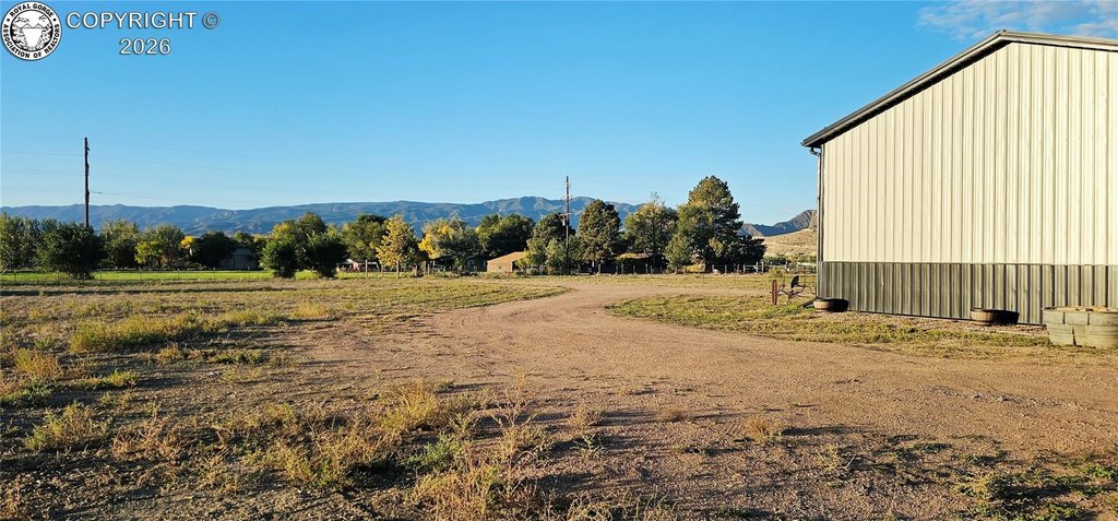 Picture 8
