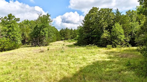 Agricultural Land with Wooded Areas