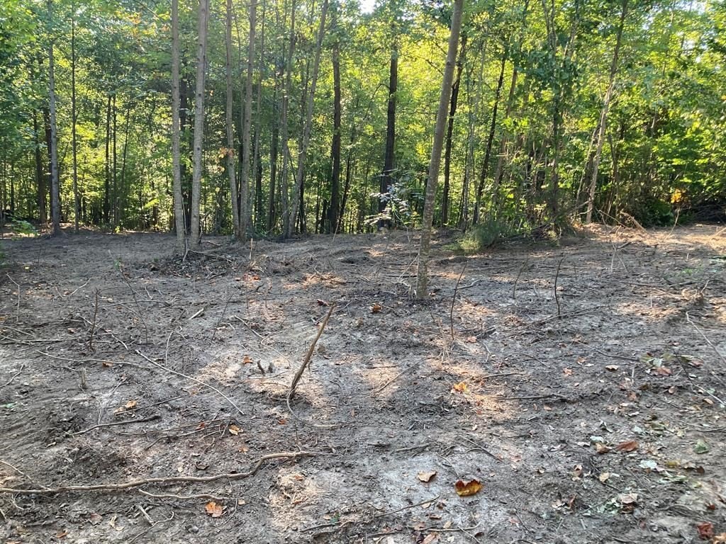 Picture 16