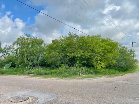 LAND - Progreso, TX