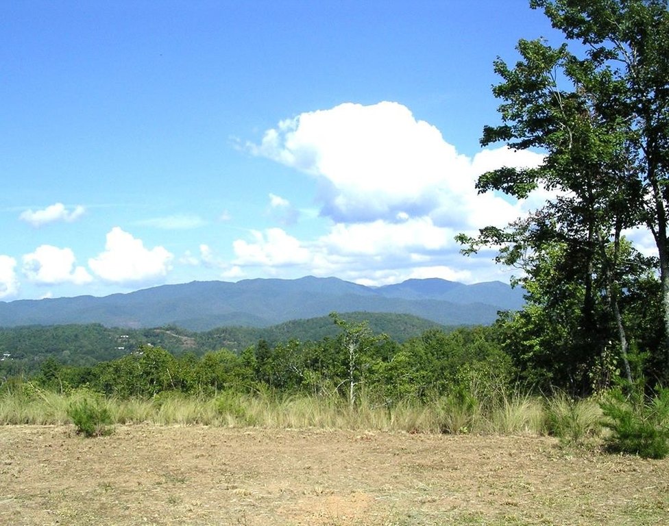 Picture 13