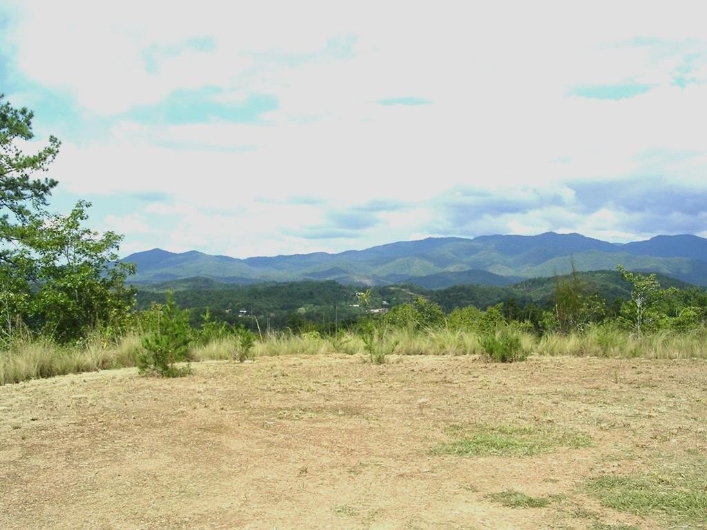 Picture 7