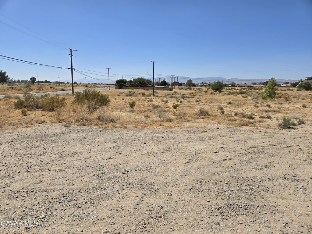 Picture 3