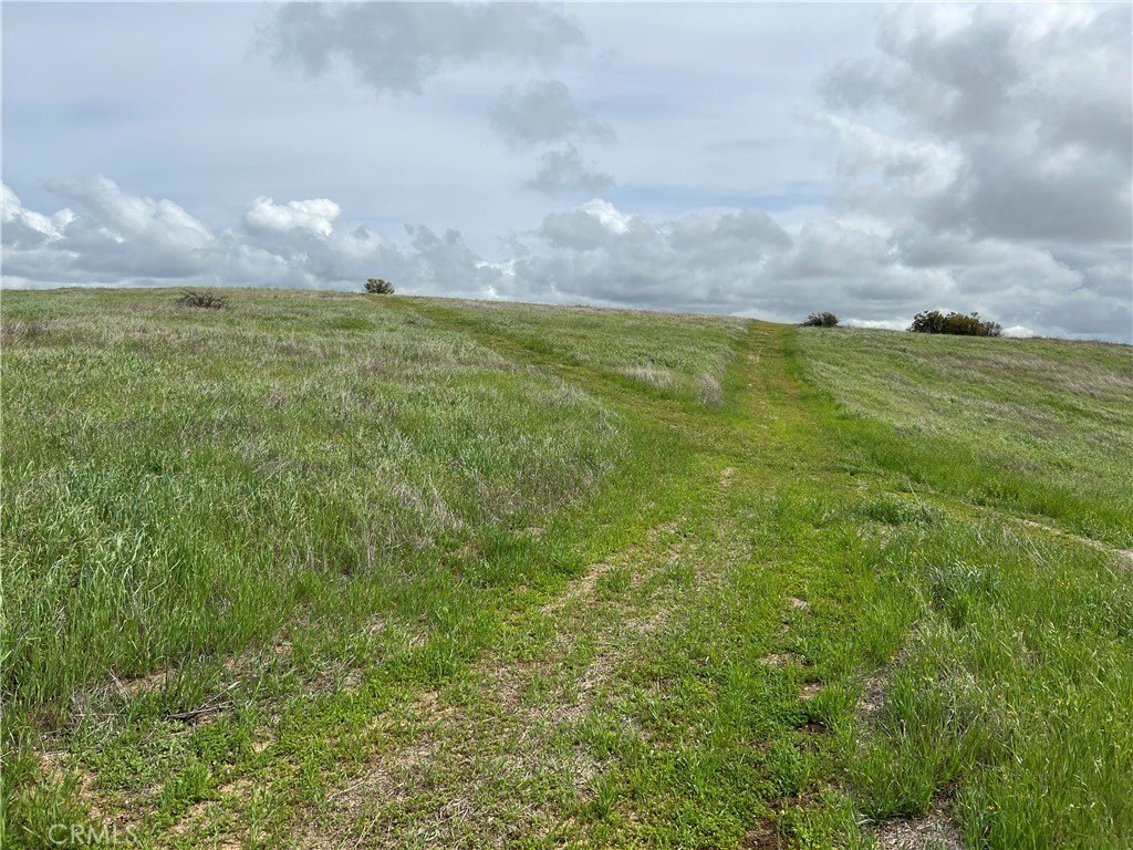 Two Acres in Paso Robles
