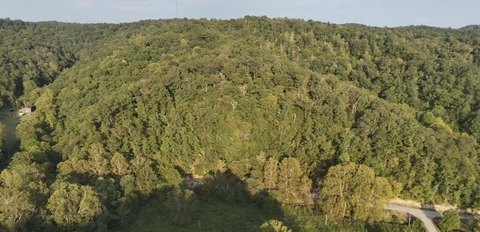 Land, Webbville, KY