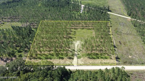 Land, Brunswick, GA