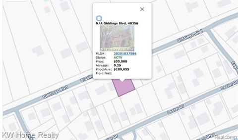 Land Near White Lake