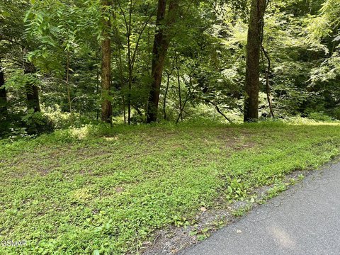 LAND - Sevierville, TN