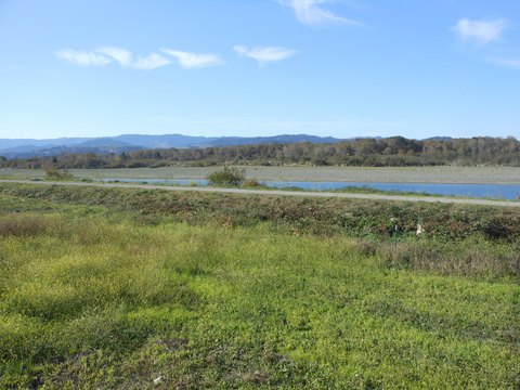 Commercial Lot in Fortuna, CA