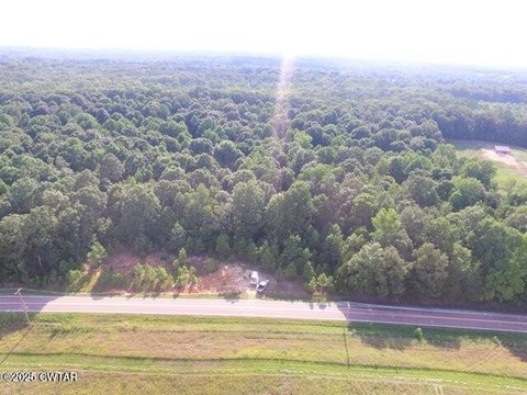 Luray, TN Wooded Lot