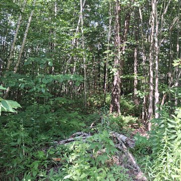 Waterfront Building Lot with Brook Frontage
