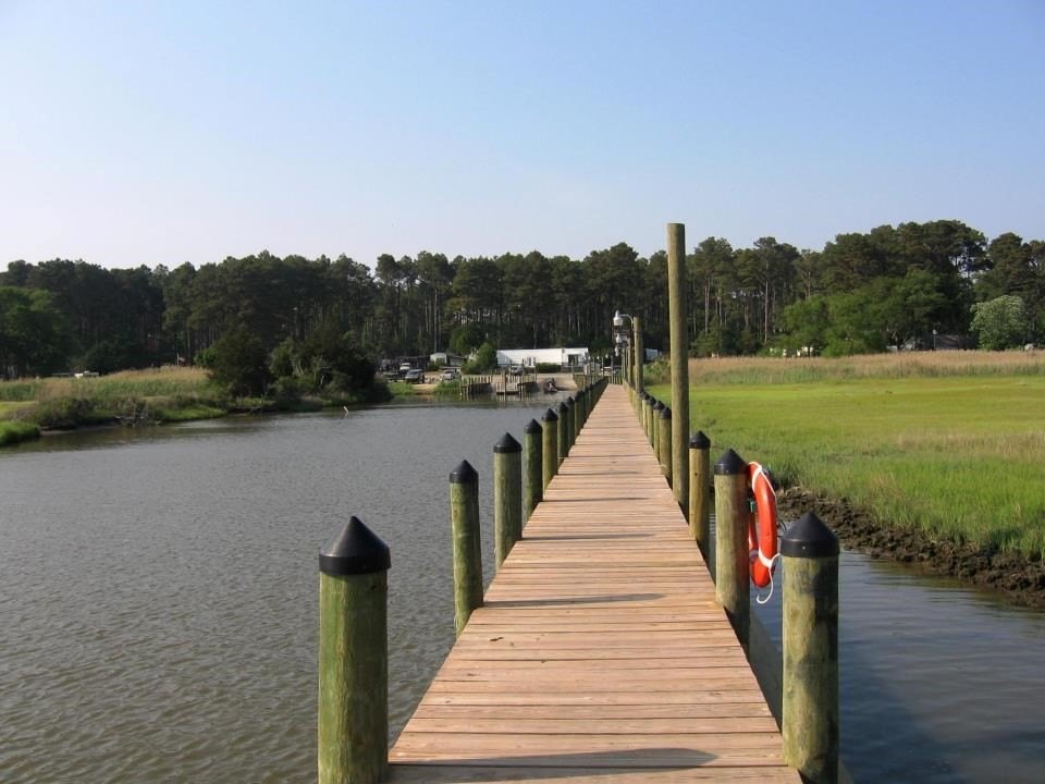 Picture 32