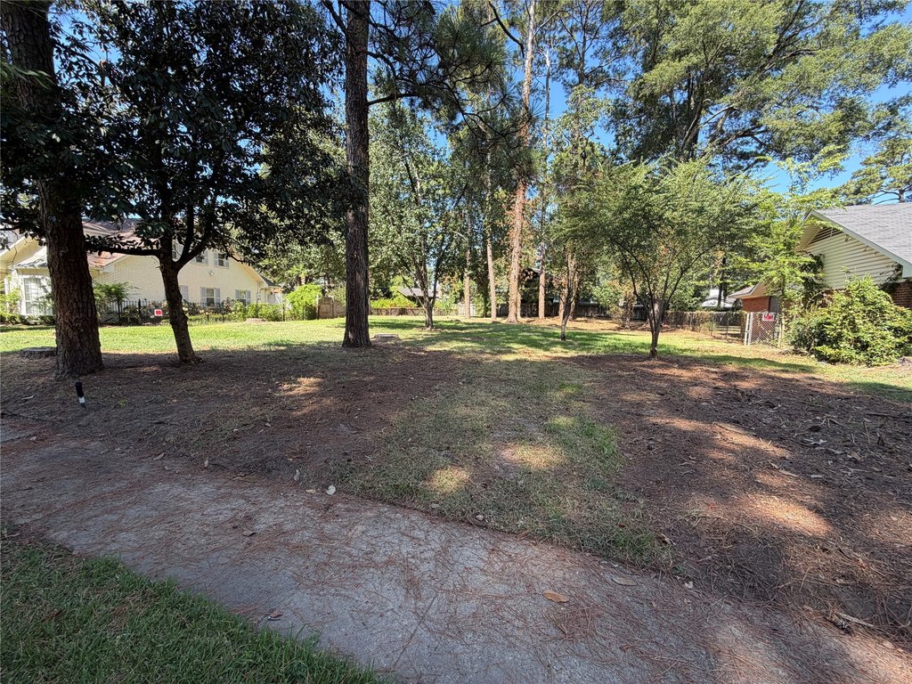 Picture 6