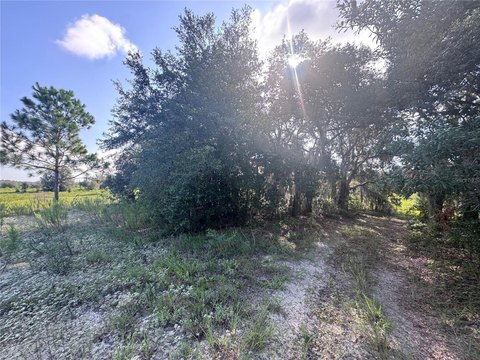Land, INVERNESS, FL