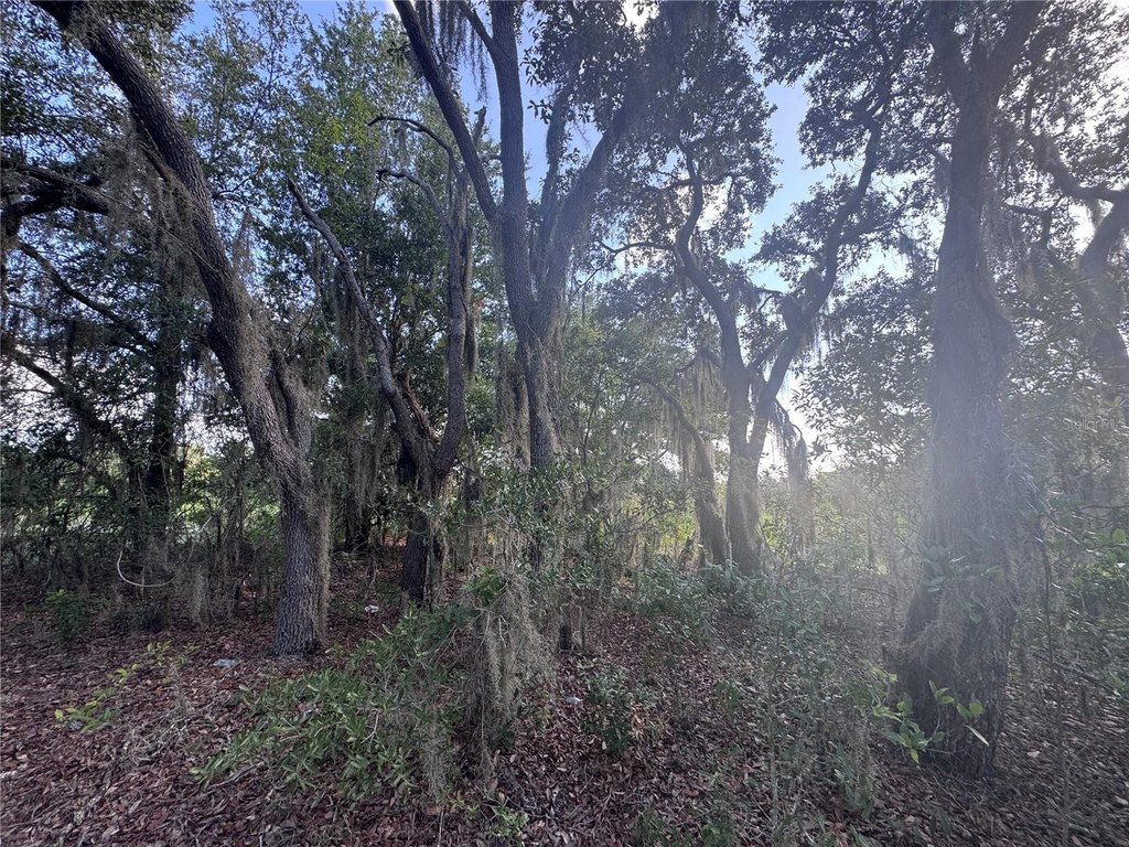 Picture 4