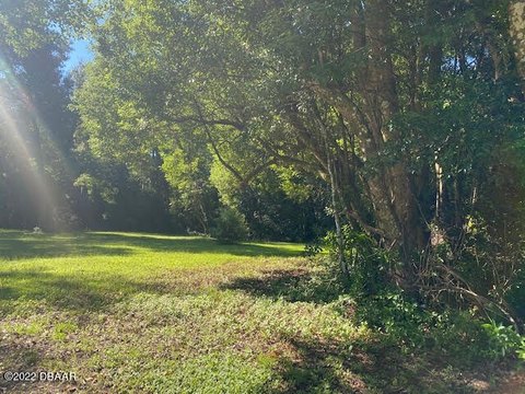 Two Acre Lot Near Downtown