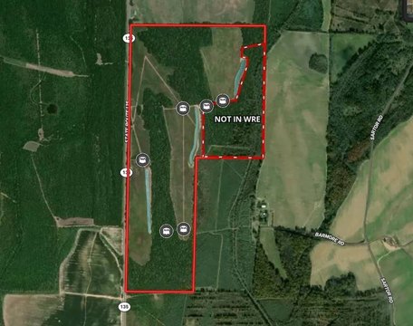 Turnkey Hunting Land with Timber