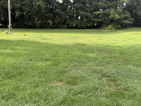 LAND - Bronston, KY