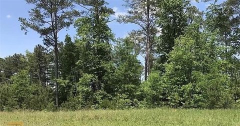 Residential Land in Griffin, GA