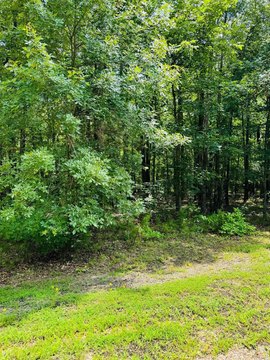 LAND - Heber Springs, AR