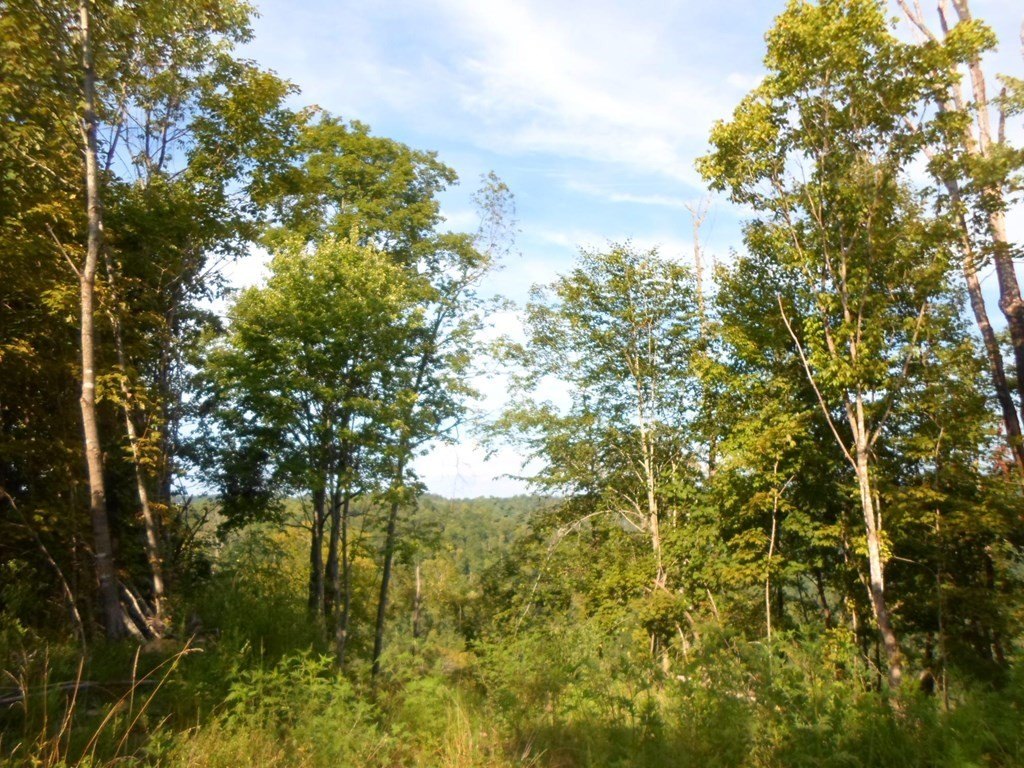 Picture 12