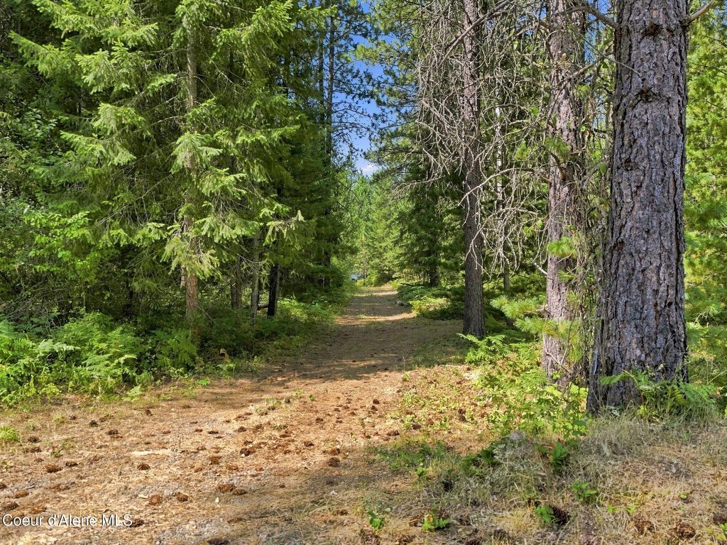 Picture 9