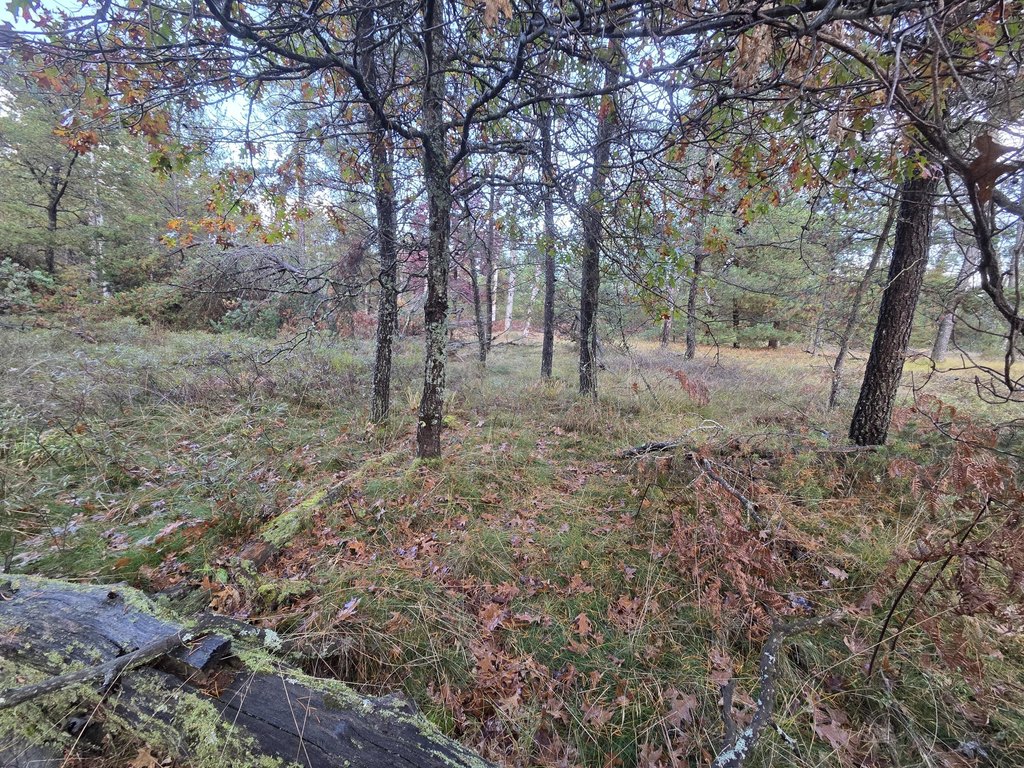 Picture 20