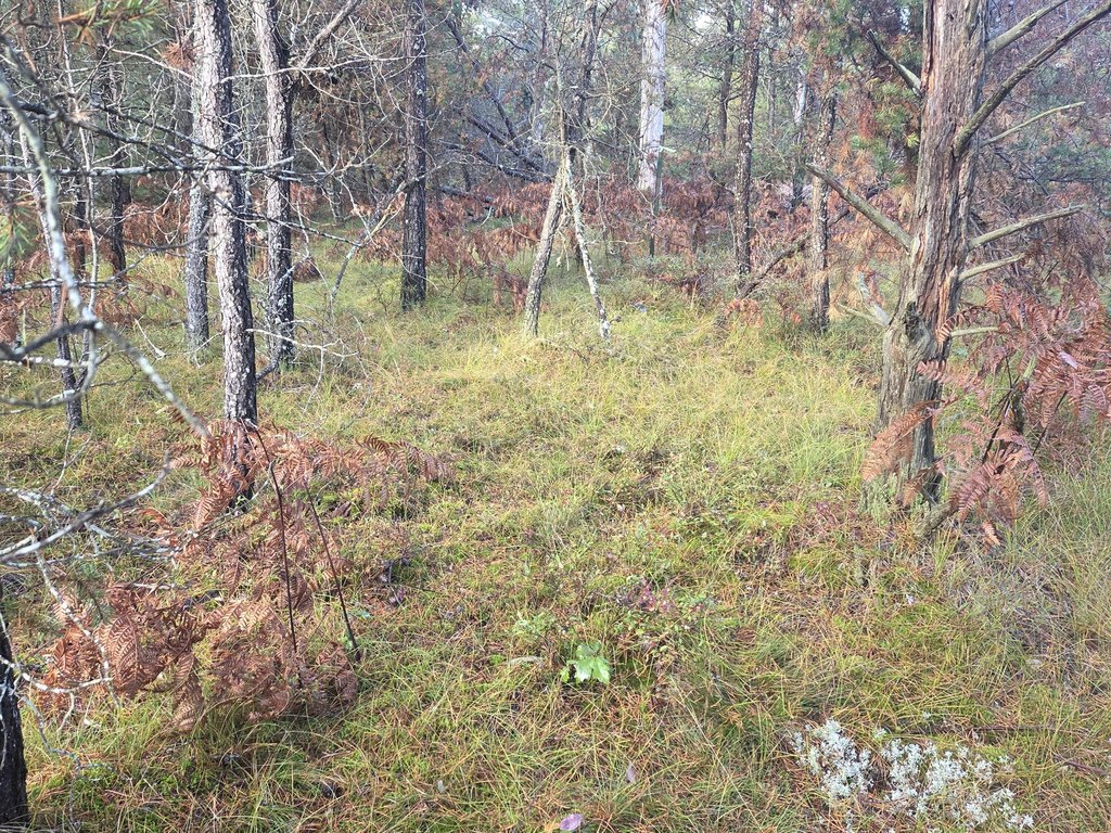 Picture 21