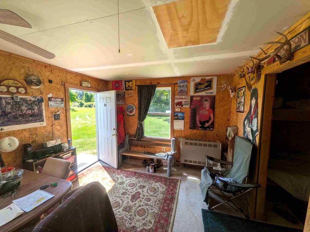 Picture 6