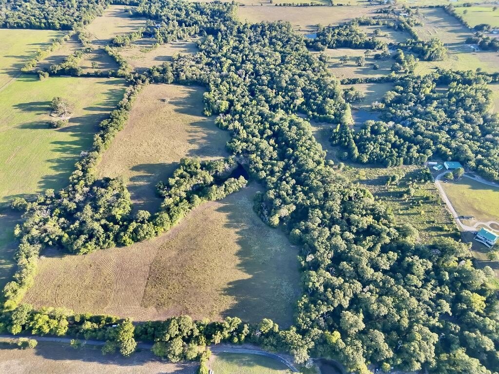 Picture 16