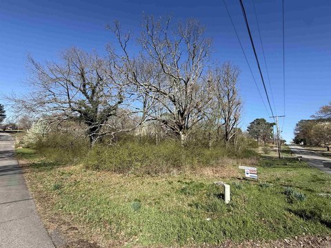 LAND - Heber Springs, AR