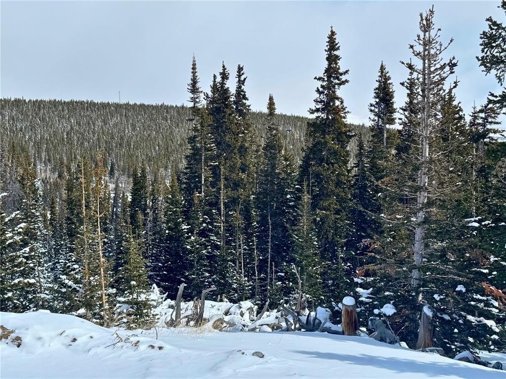 Picture 4