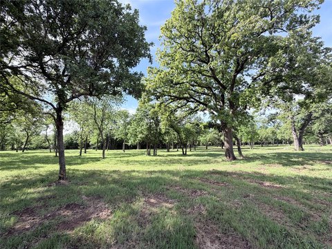 Heavily Treed Land in Whitney