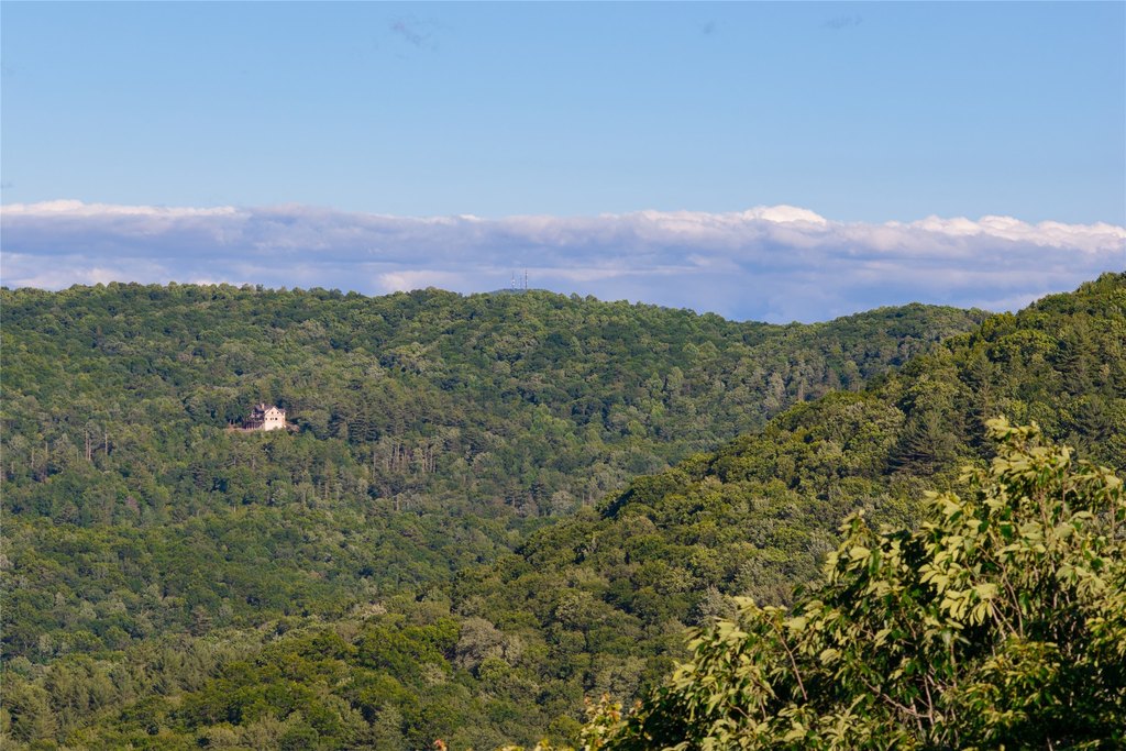 Picture 45