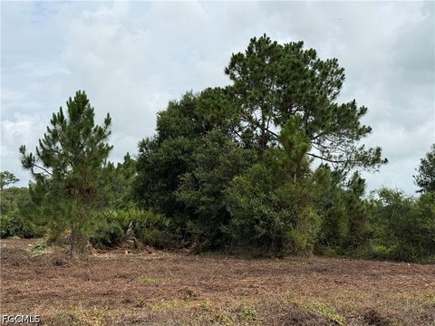 Cleared Rural Home Site