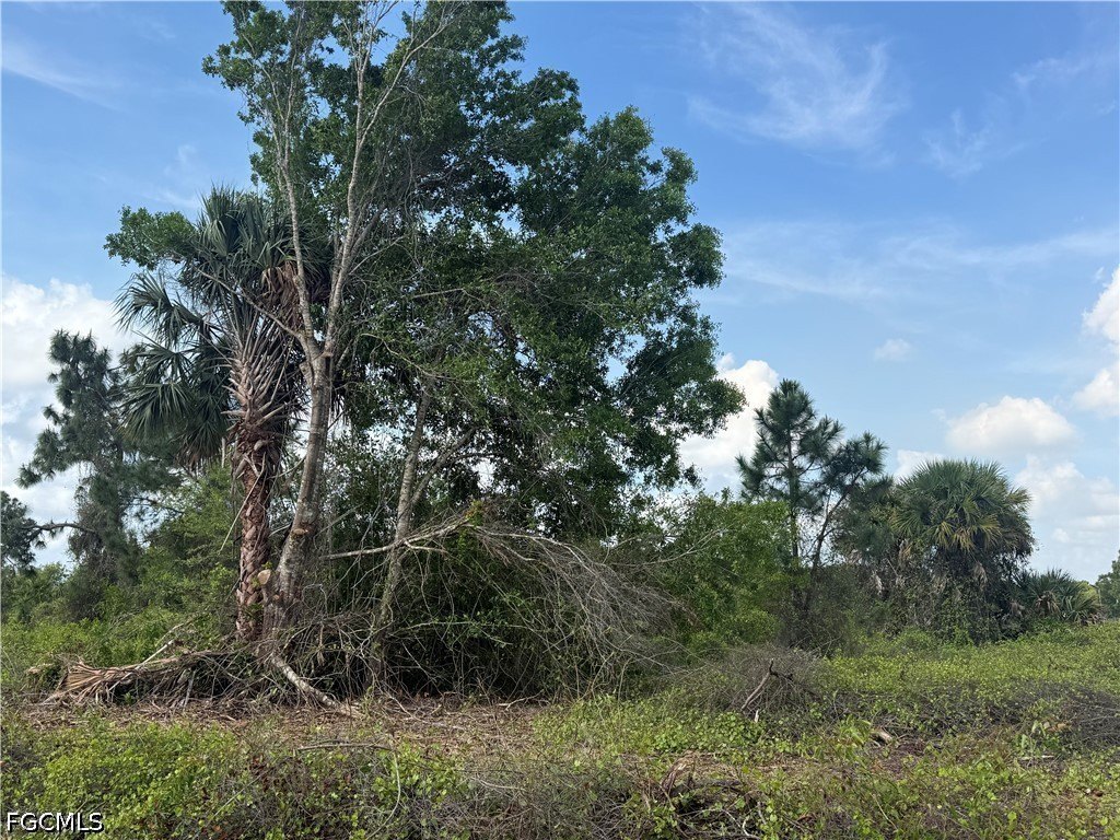 Residential Land in Montura Ranches