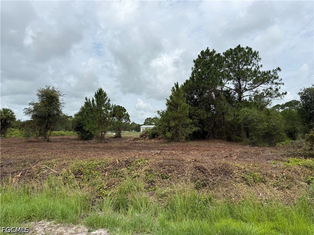 Picture 2