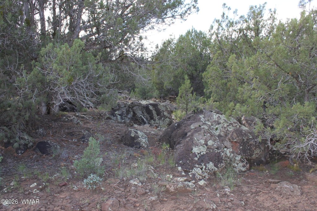Picture 11