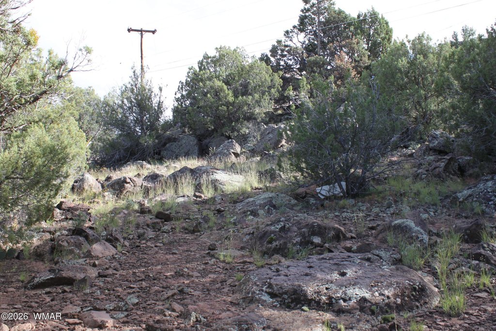 Picture 14