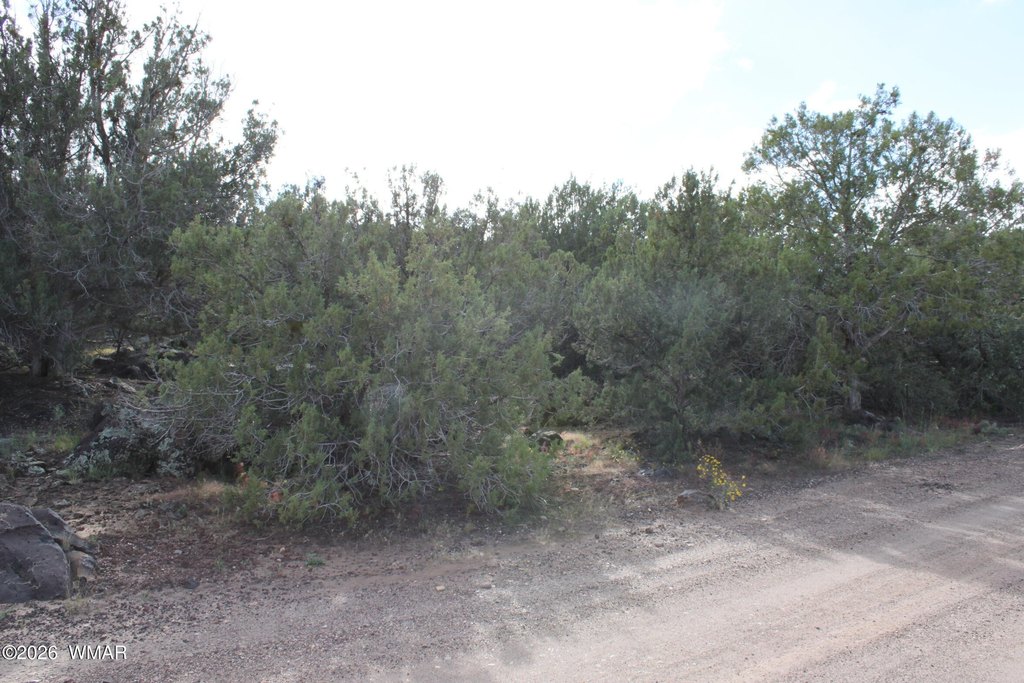 Picture 10