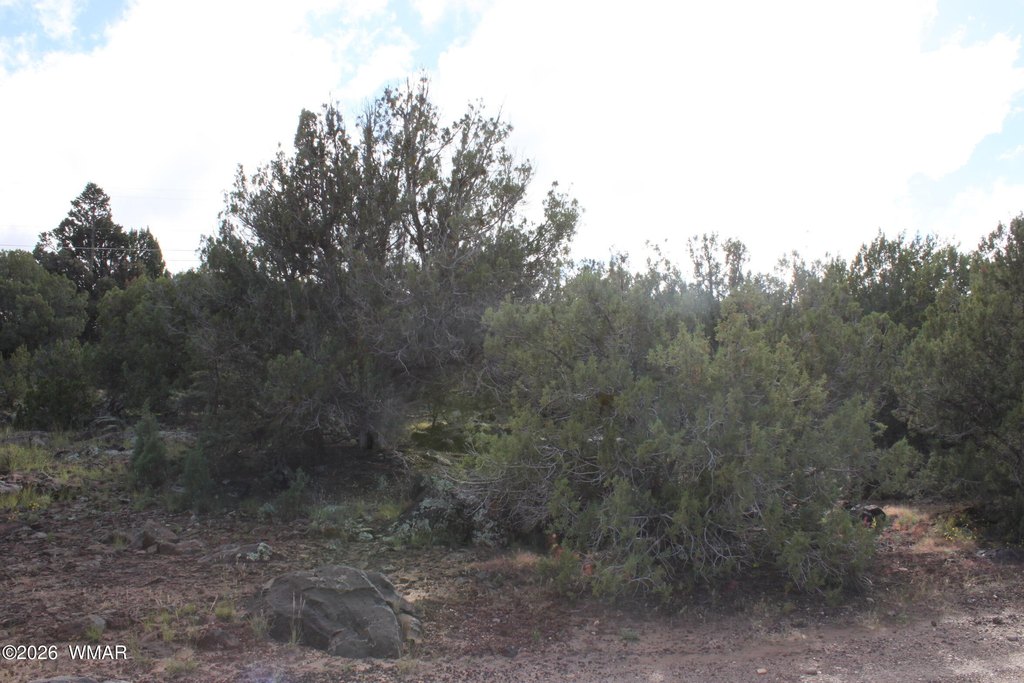 Picture 9