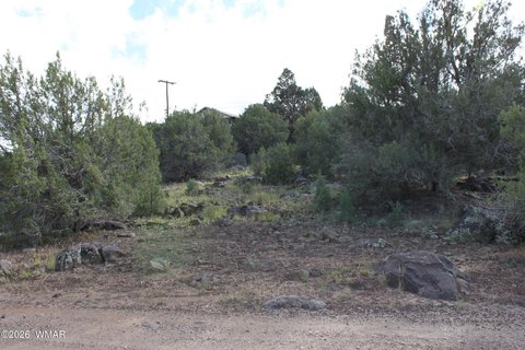 Land, Show Low, AZ
