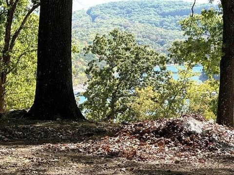 Land, Kimberling City, MO
