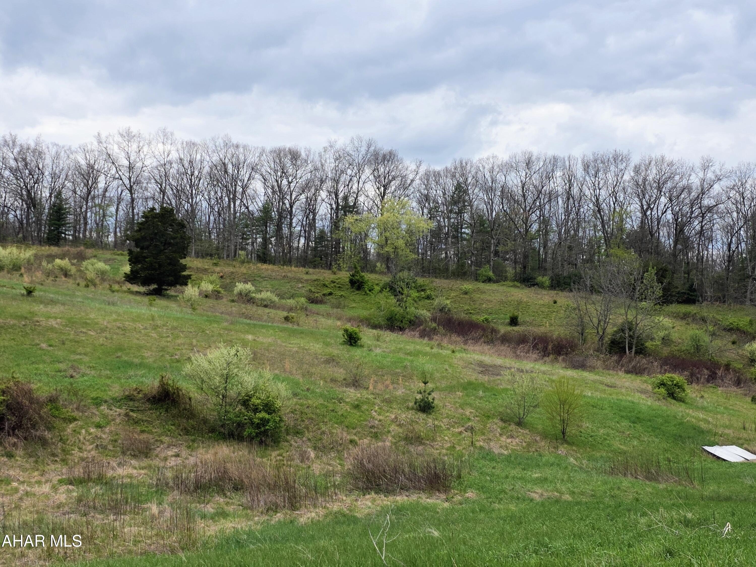 Land with Artesian Well